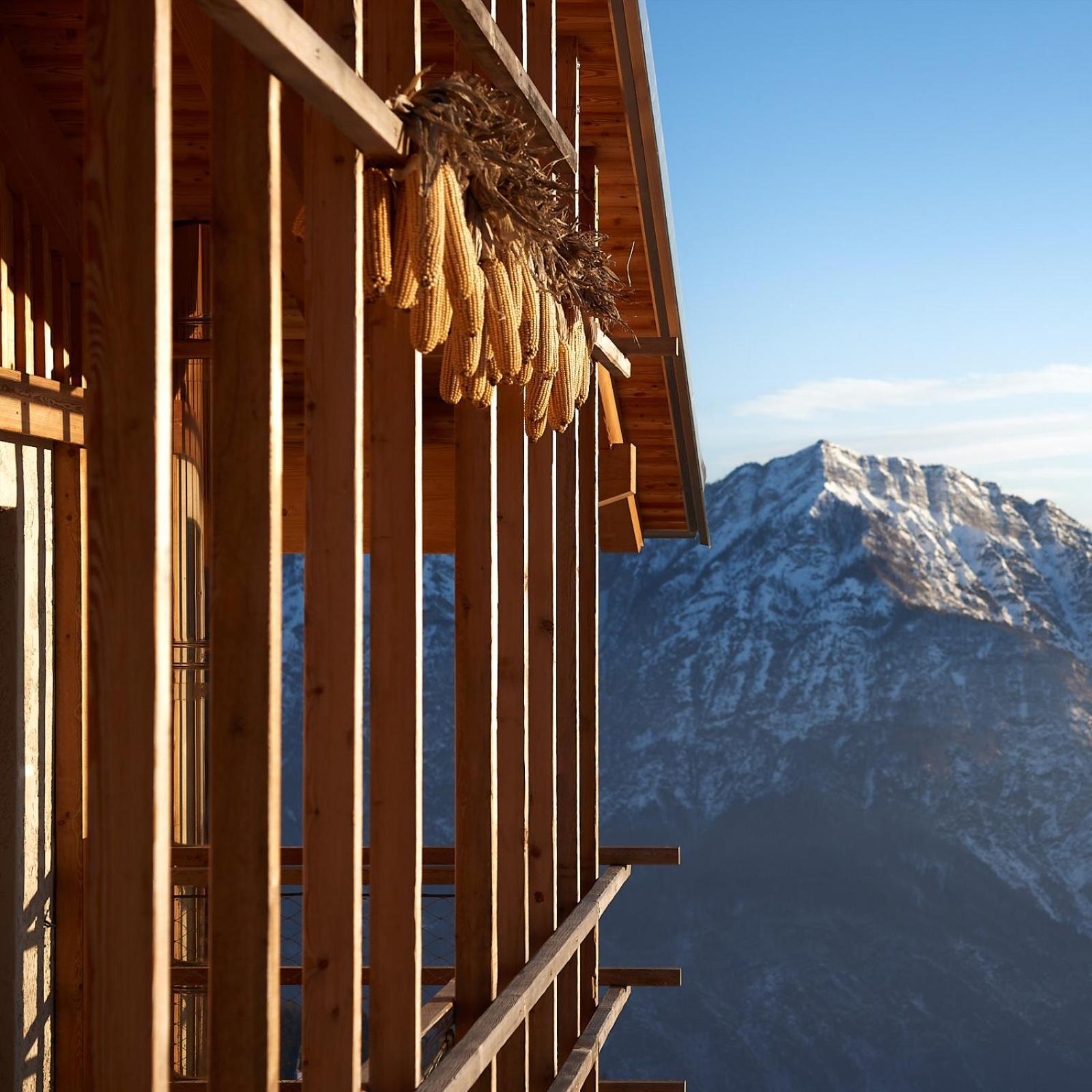 Nif: Alpine Taste Hotell Levico Terme Exteriör bild